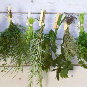 Os Melhores Temperos Naturais e Como Usar Cada Um